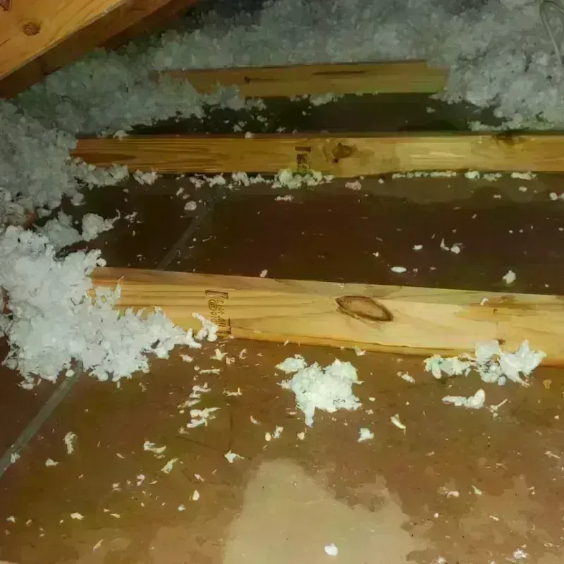 Attic Water Damage in Commerce, TX