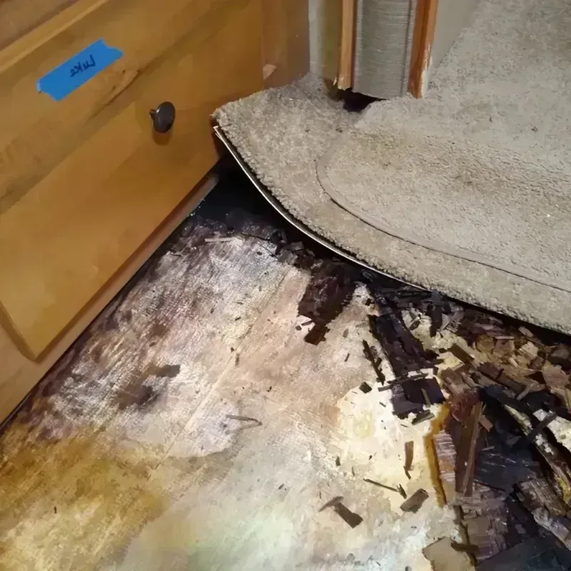 Wood Floor Water Damage in Commerce, TX